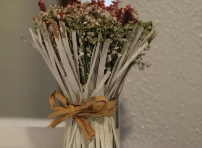 Casa Do Souto - Local No Douro * Aricera