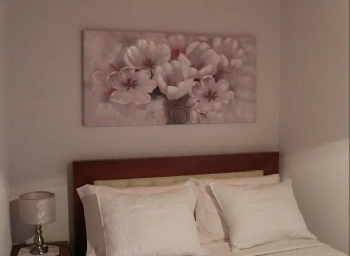 Casa Do Souto - Local No Douro Дом отдыха Aricera